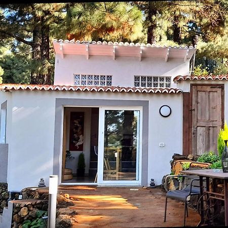 Casa Aguar: Acogedora Casa De Invitados En El Bosque Barrial Екстер'єр фото