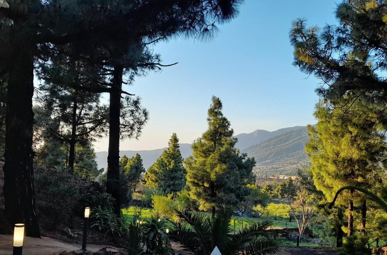 Casa Aguar: Acogedora Casa De Invitados En El Bosque Barrial Екстер'єр фото