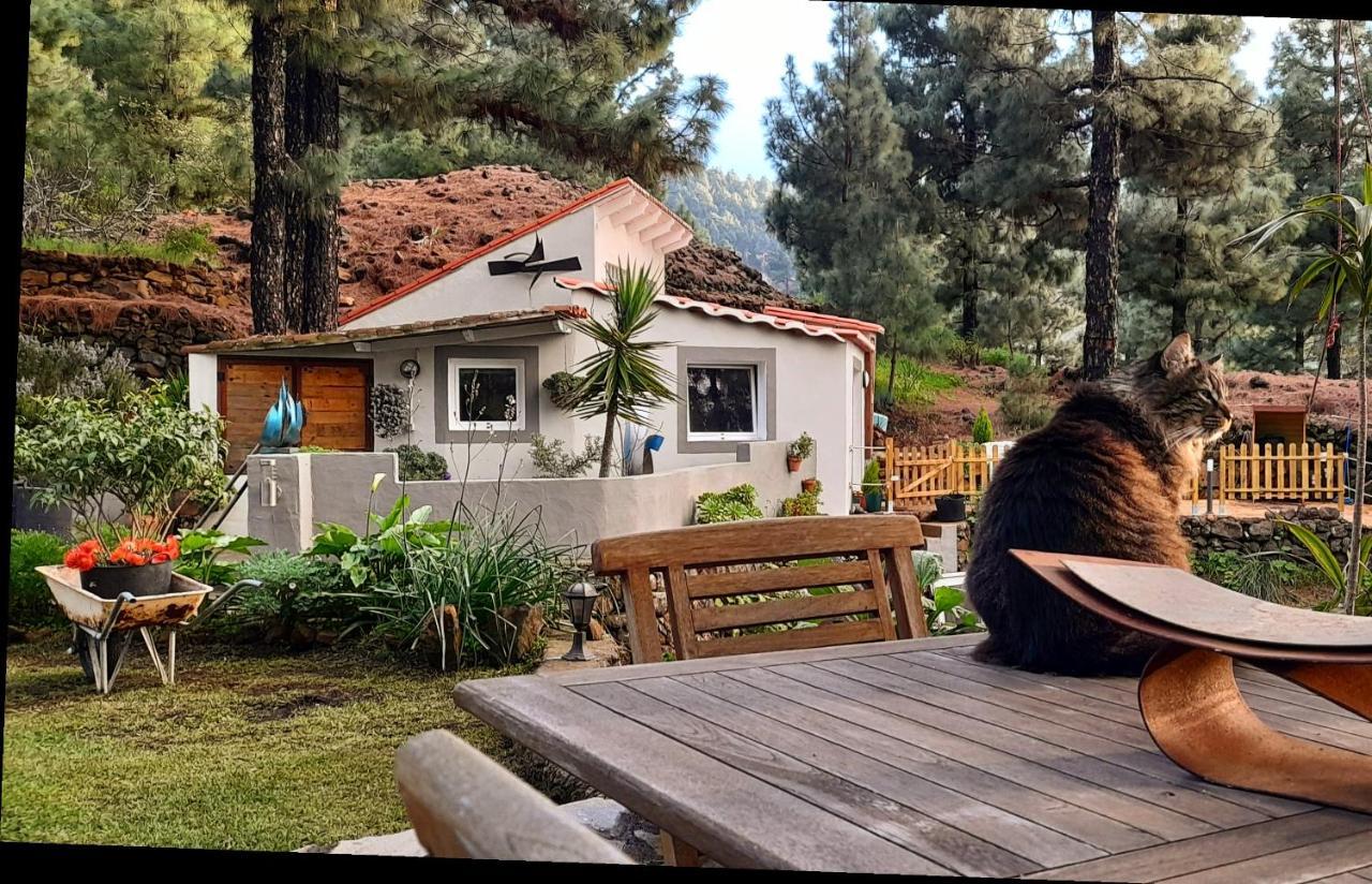 Casa Aguar: Acogedora Casa De Invitados En El Bosque Barrial Екстер'єр фото