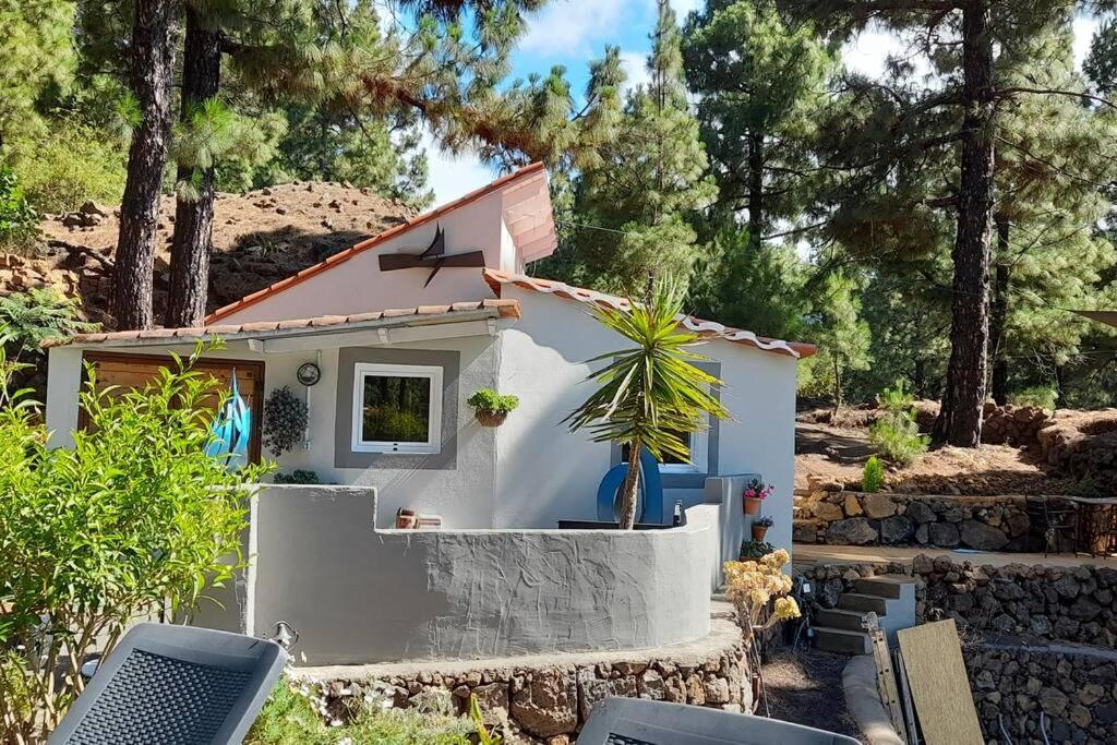 Casa Aguar: Acogedora Casa De Invitados En El Bosque Barrial Екстер'єр фото