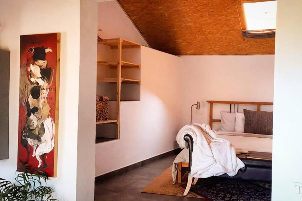Casa Aguar: Acogedora Casa De Invitados En El Bosque Barrial Екстер'єр фото