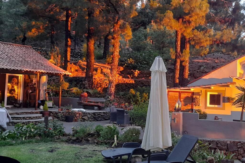 Casa Aguar: Acogedora Casa De Invitados En El Bosque Barrial Екстер'єр фото