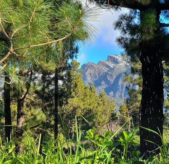 Casa Aguar: Acogedora Casa De Invitados En El Bosque Barrial Екстер'єр фото
