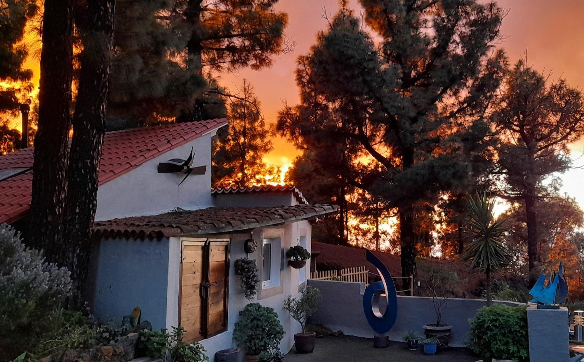 Casa Aguar: Acogedora Casa De Invitados En El Bosque Barrial Екстер'єр фото